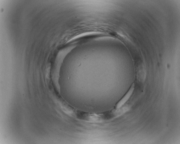 X0000066520229200603201332