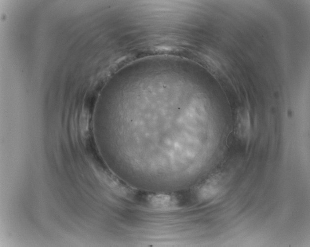 X0000066520230200603201332