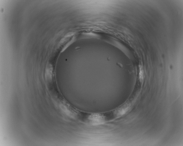 X0000066520231200603201331