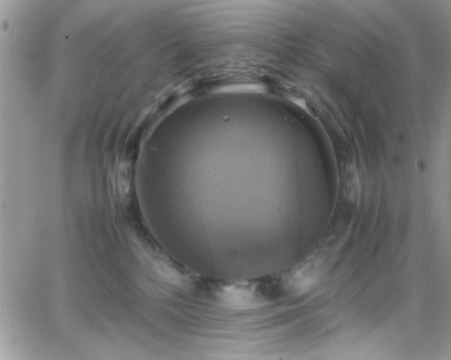 X0000066520232200603201331