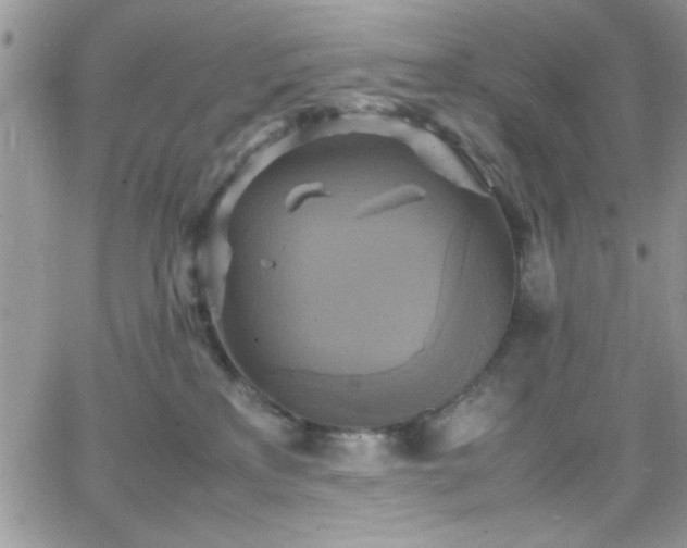 X0000066520233200603201331