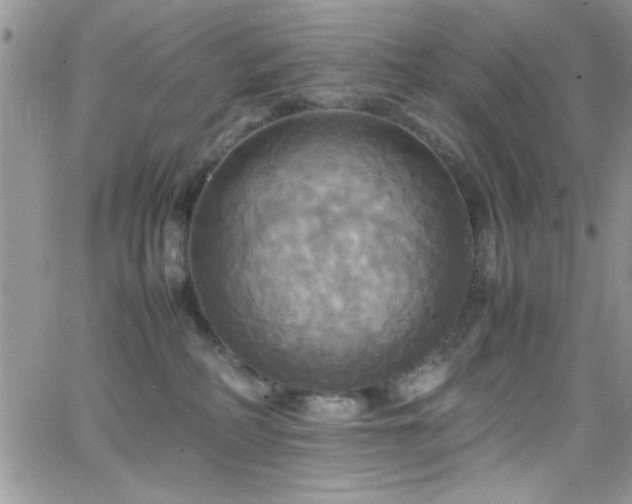 X0000066520234200603201331