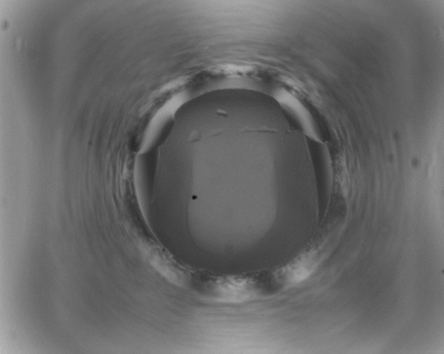 X0000066520235200603201331