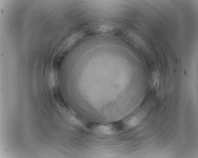 X0000066520236200603201331