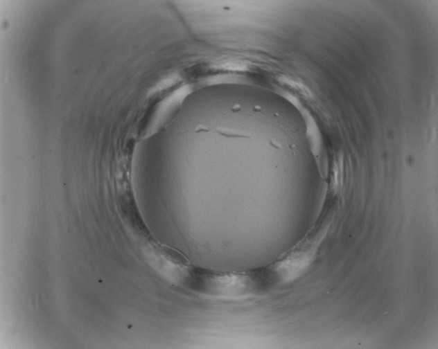 X0000066520237200603201331