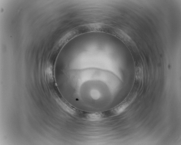 X0000066520238200603201331