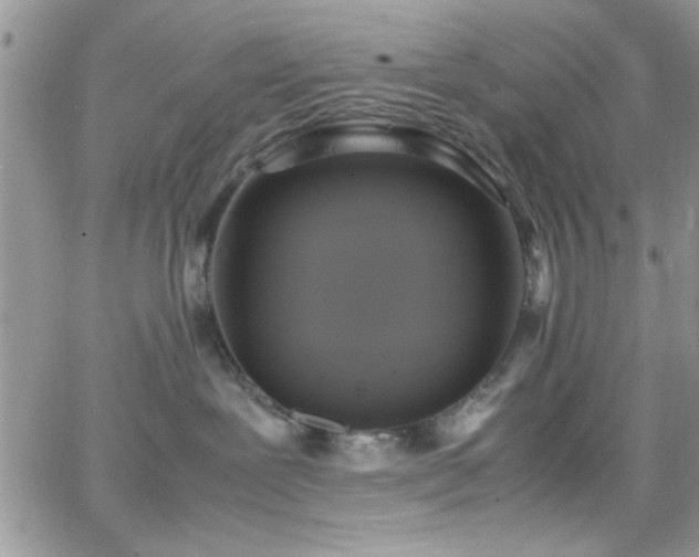 X0000066520239200603201331