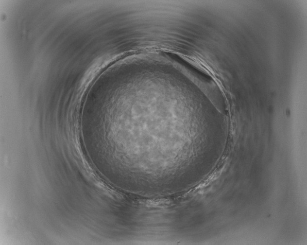 X0000066520241200603201331