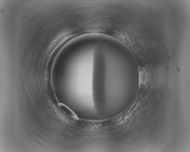 X0000066520243200603201331