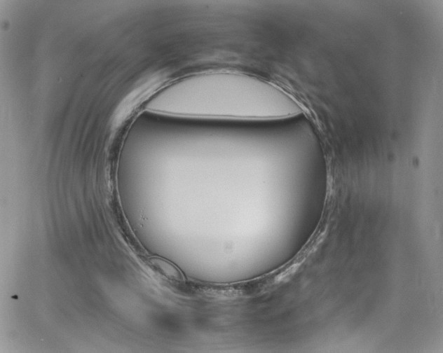 X0000066520245200603201331