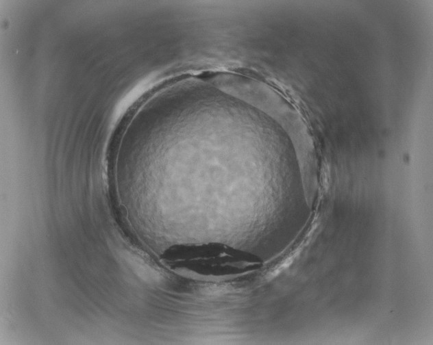 X0000066520246200603201331