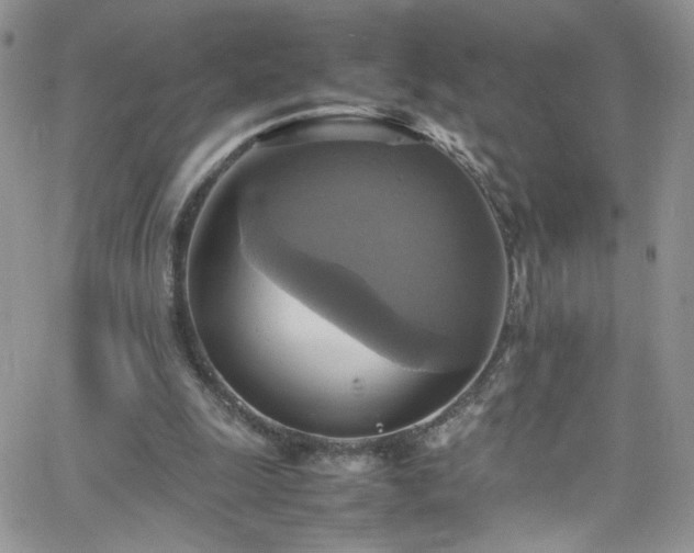 X0000066520247200603201331