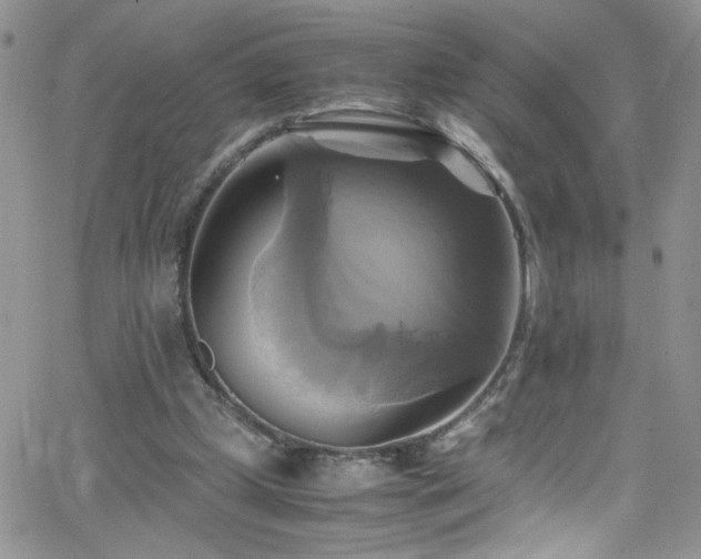 X0000066520249200603201331