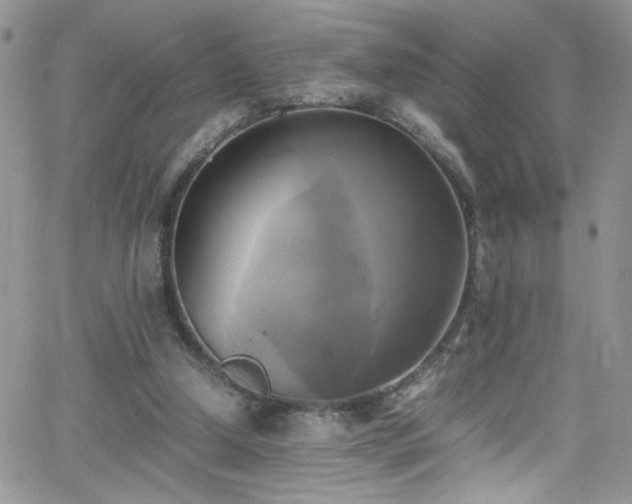 X0000066520250200603201331