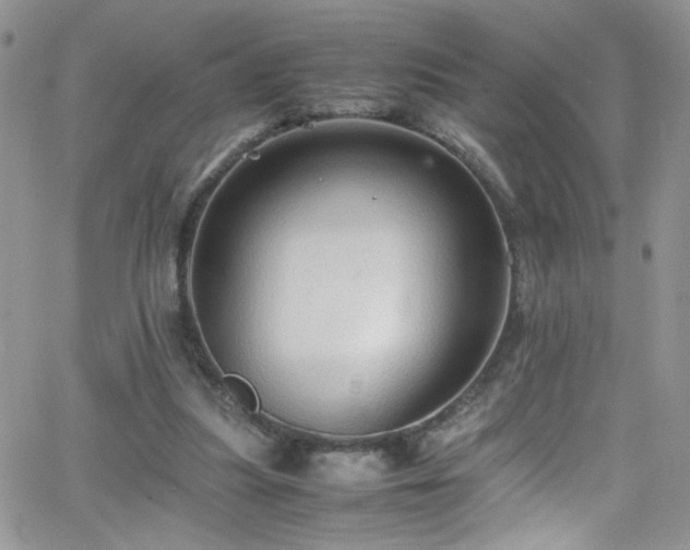 X0000066520251200603201331