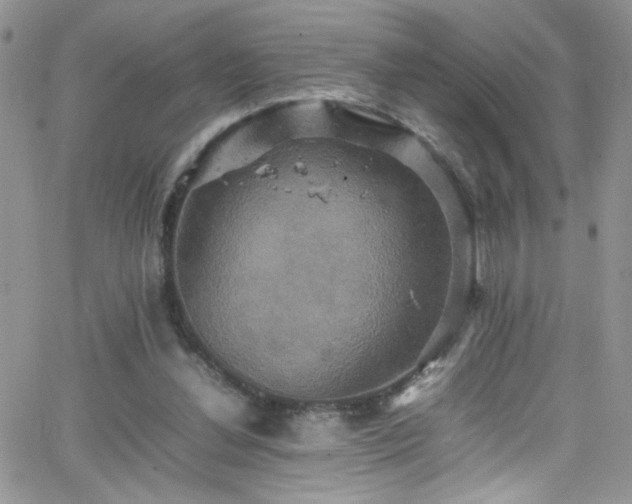 X0000066520252200603201331