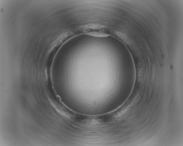 X0000066520254200603201331