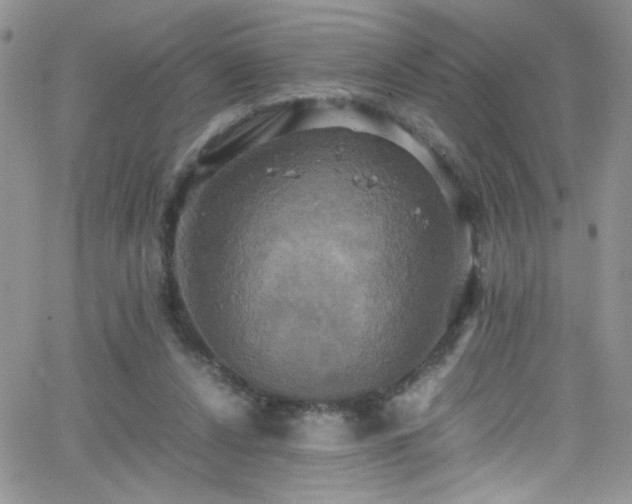 X0000066520256200603201331