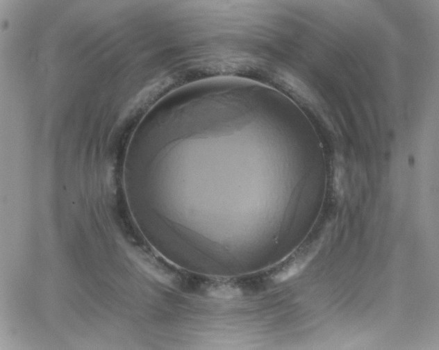 X0000066520258200603201331