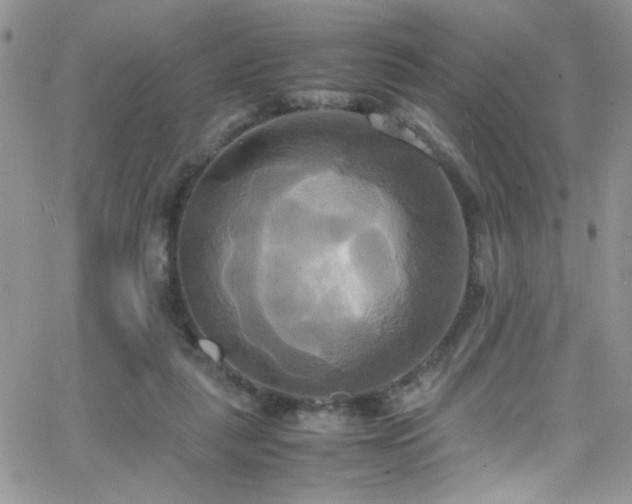 X0000066520259200603201331