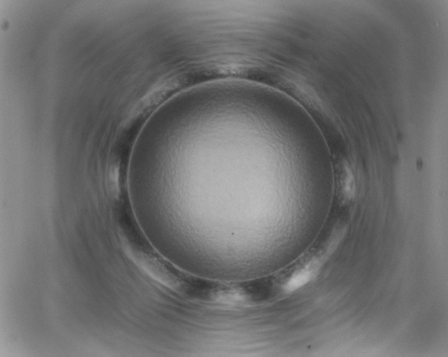 X0000066520262200603201331