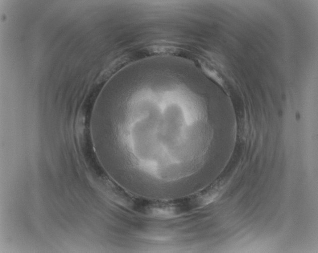 X0000066520263200603201331