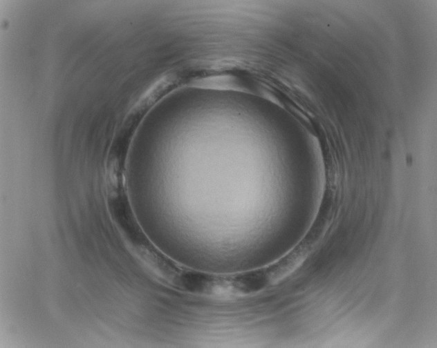 X0000066520264200603201331