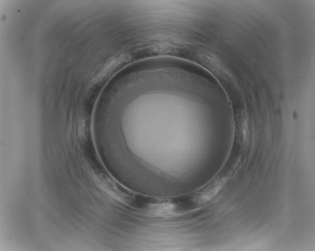 X0000066520266200603201331