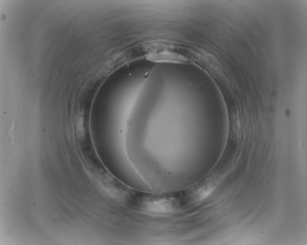 X0000066520267200603201331