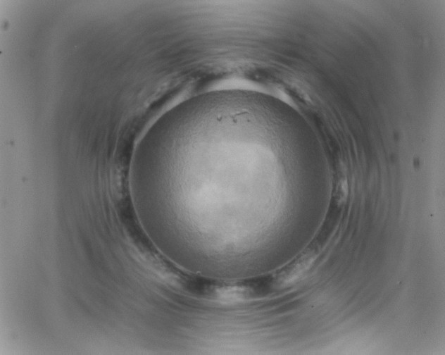 X0000066520268200603201331