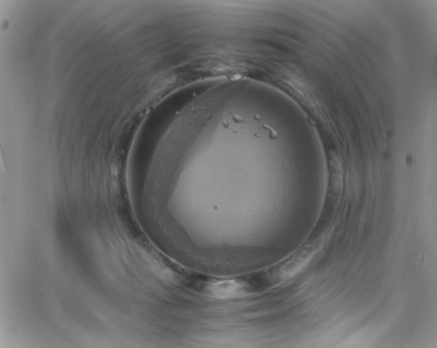 X0000066520269200603201331