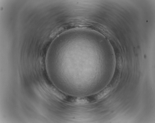 X0000066520270200603201331