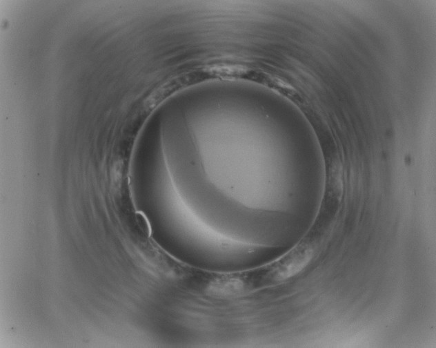 X0000066520271200603201331