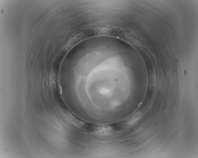 X0000066520274200603201331