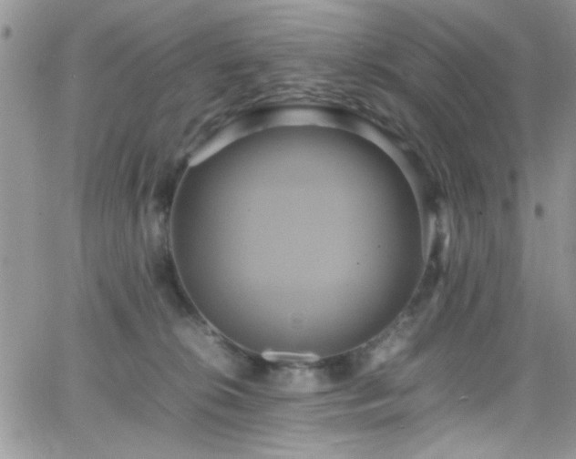 X0000066520276200603201331