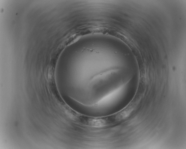 X0000066520277200603201331