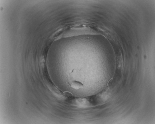 X0000066520279200603201331