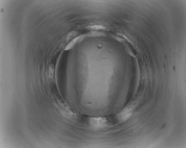 X0000066520281200603201331