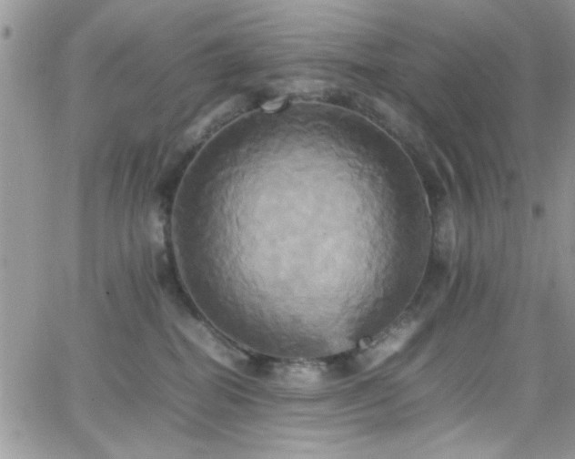 X0000066520282200603201331