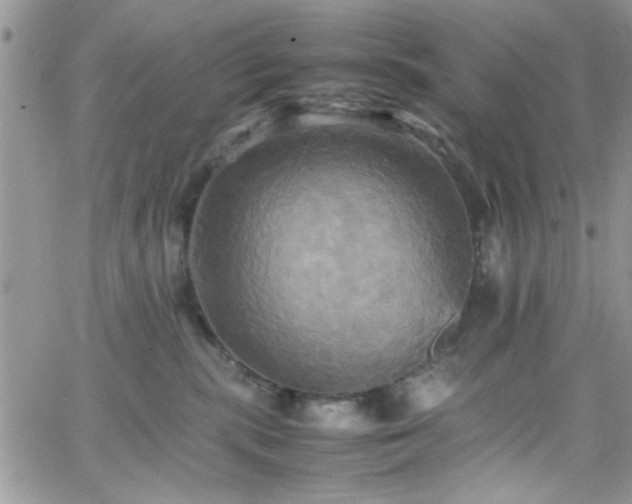 X0000066520283200603201331