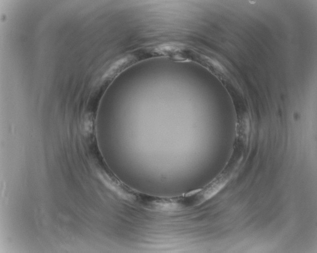 X0000066520284200603201331