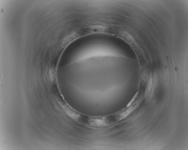 X0000066520285200603201331