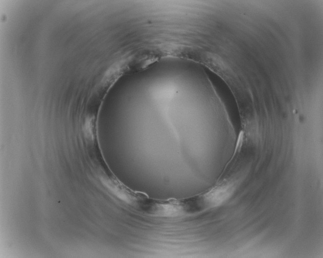 X0000066520286200603201331