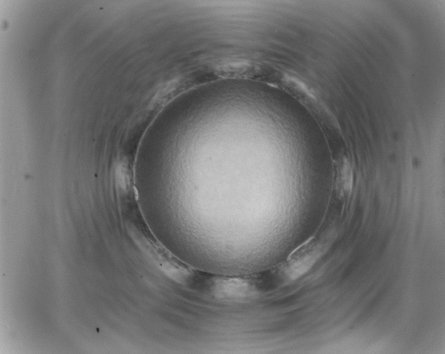 X0000066520287200603201331