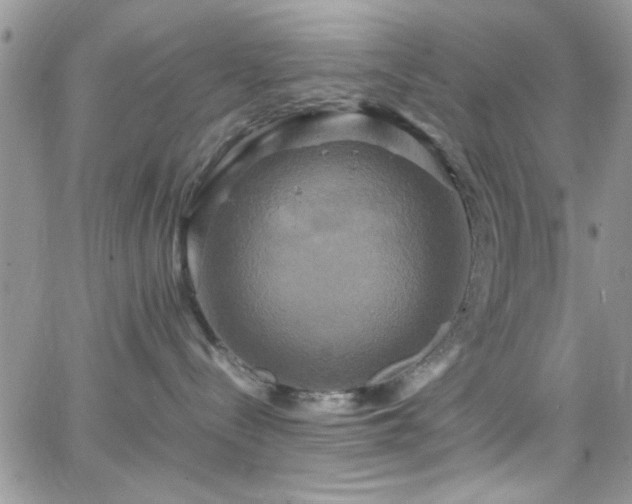 X0000066520288200603201331