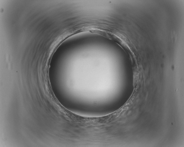 X0000066520289200603201331