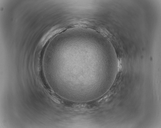 X0000066520291200603201331