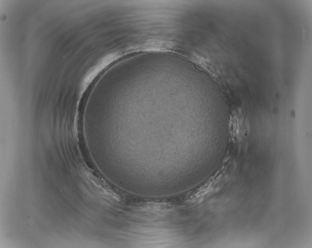 X0000066520292200603201330