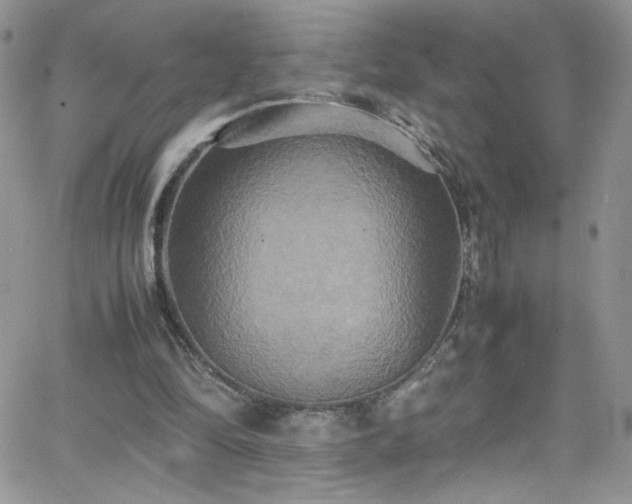 X0000066520294200603201330