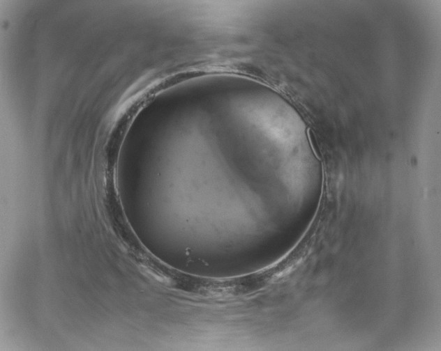 X0000066520295200603201330